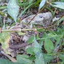 Img.VTax1816.Ex1.Img3