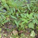 Img.VTax1820.Ex1.Img1