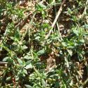 Img.VTax1822.Ex1.Img1