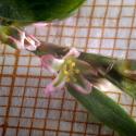 Img.VTax1822.Ex2.Img3