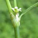 Img.VTax1827.Ex1.Img6