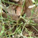 Img.VTax1827.Ex2.Img6