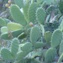 Img.VTax1843.Ex1.Img1