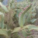 Img.VTax1845.Ex2.Img1