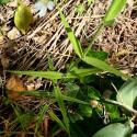 Img.VTax1908.Ex3.Img5