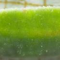 Img.VTax1955.Ex2.Img8