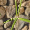 Img.VTax1977.Ex1.Img8