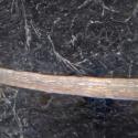 Img.VTax1988.Ex2.Img11