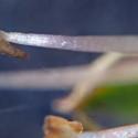 Img.VTax1988.Ex2.Img3