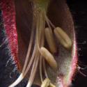 Img.VTax1995.Ex3.Img3