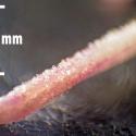 Img.VTax1996.Ex1.Img2