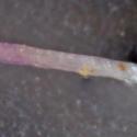 Img.VTax1996.Ex1.Img3