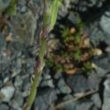 Img.VTax2022.Ex1.Img5