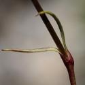 Img.VTax2032.Ex1.Img3