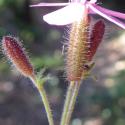 Img.VTax2033.Ex1.Img6