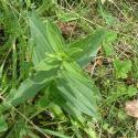 Img.VTax2035.Ex1.Img6