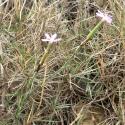 Img.VTax2046.Ex1.Img5