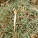 Img.VTax2046.Ex1.Img6