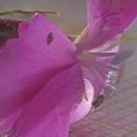 Img.VTax2048.Ex1.Img4