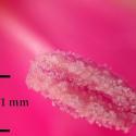 Img.VTax2048.Ex1.Img6