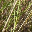 Img.VTax2049.Ex1.Img1