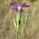 Img.VTax2049.Ex1.Img9