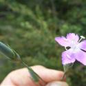 Img.VTax2055.Ex3.Img3