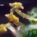 Img.VTax2072.Ex2.Img3