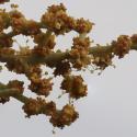 Img.VTax2080.Ex3.Img7