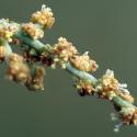 Img.VTax2080.Ex3.Img8