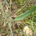 Img.VTax2088.Ex2.Img1