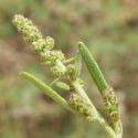Img.VTax2088.Ex2.Img3