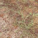 Img.VTax2088.Ex2.Img4