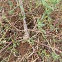 Img.VTax2088.Ex2.Img5