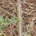 Img.VTax2088.Ex2.Img6