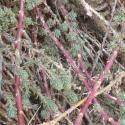 Img.VTax2094.Ex1.Img2