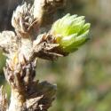 Img.VTax2094.Ex1.Img5