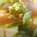 Img.VTax2108.Ex1.Img5