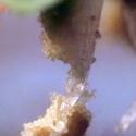 Img.VTax2108.Ex1.Img8
