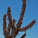 Img.VTax2112.Ex2.Img1