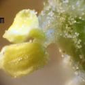 Img.VTax2112.Ex2.Img11