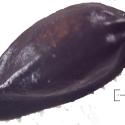 Img.VTax214.Ex1.Img1