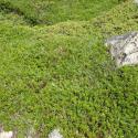 Img.VTax2146.Ex1.Img1