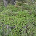 Img.VTax2146.Ex3.Img3