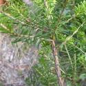 Img.VTax2158.Ex2.Img3