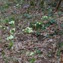 Img.VTax2167.Ex1.Img7