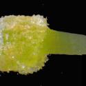 Img.VTax2171.Ex2.Img9