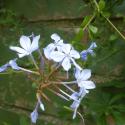 Img.VTax2202.Ex1.Img1
