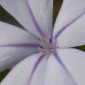 Img.VTax2202.Ex1.Img5
