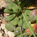 Img.VTax2208.Ex1.Img5
